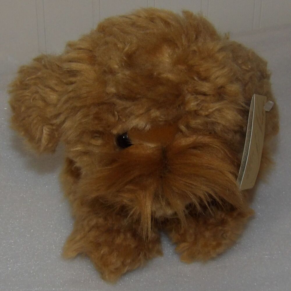Aurora Miyoni‎ Tots Labradoodle dog